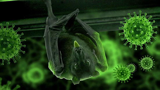 bat virus green glow